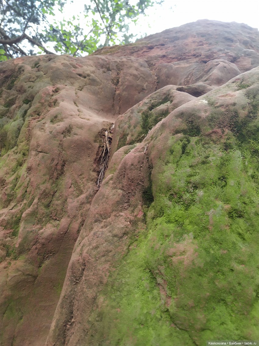 Кисловодские зарисовки. Красные камни (фото 9)