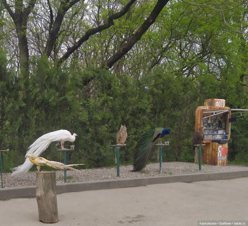 Кисловодские зарисовки. Красные камни (фото 5)