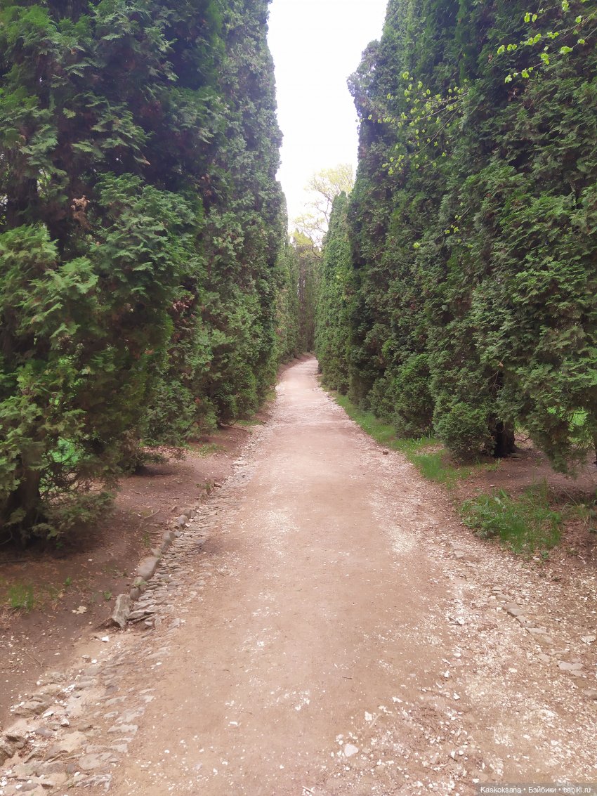 Кисловодские зарисовки. Красные камни