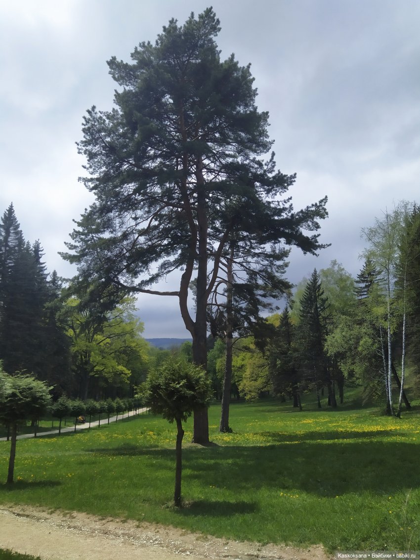 Кисловодские зарисовки. Красные камни