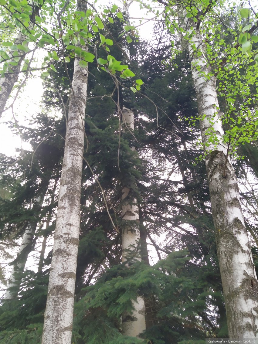 Кисловодские зарисовки. Красные камни