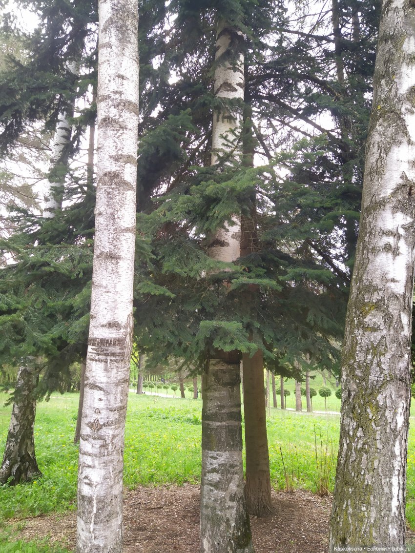 Кисловодские зарисовки. Красные камни