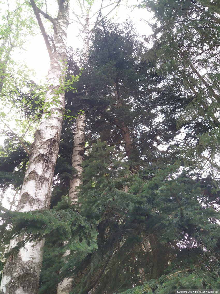 Кисловодские зарисовки. Красные камни