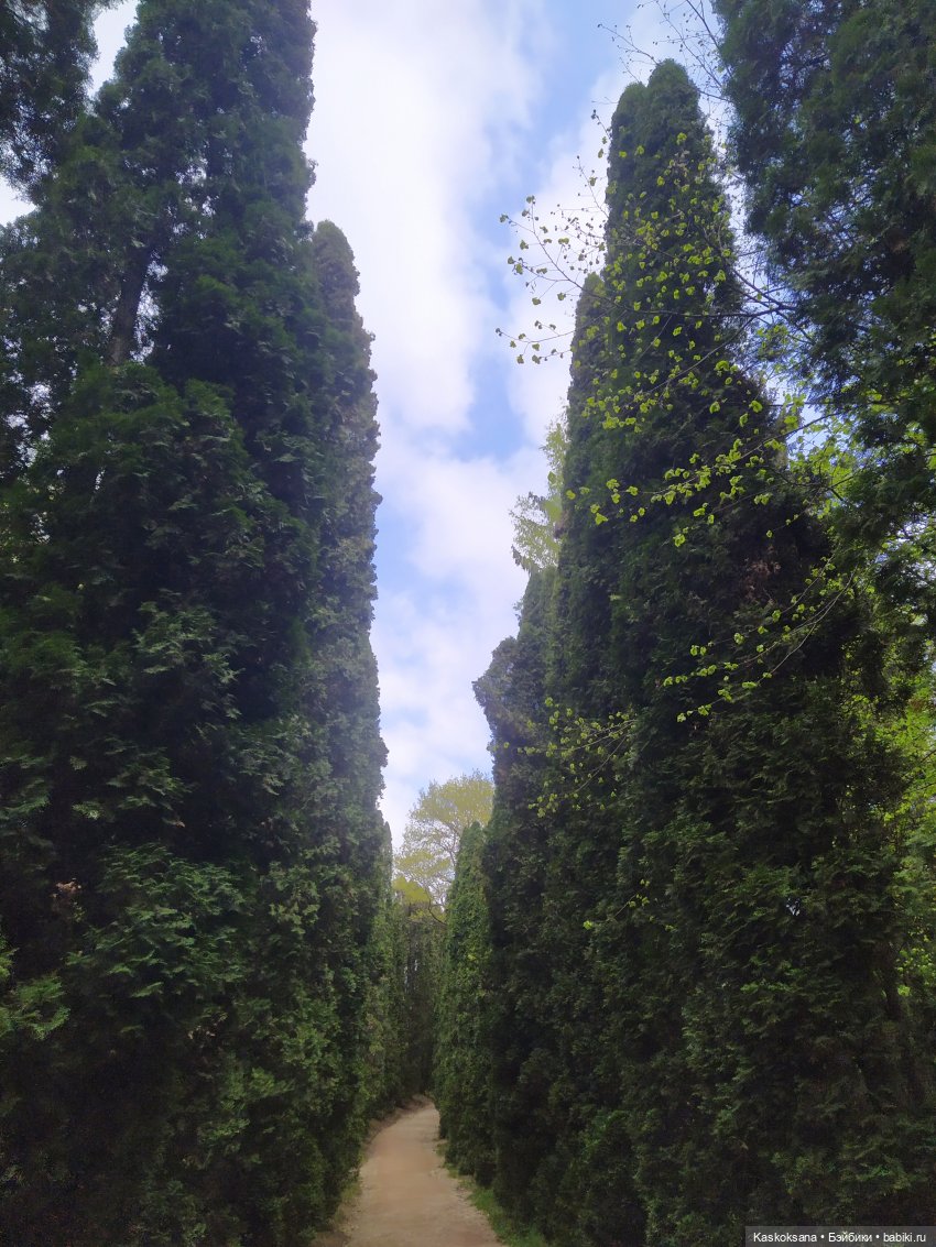 Кисловодские зарисовки. Красные камни