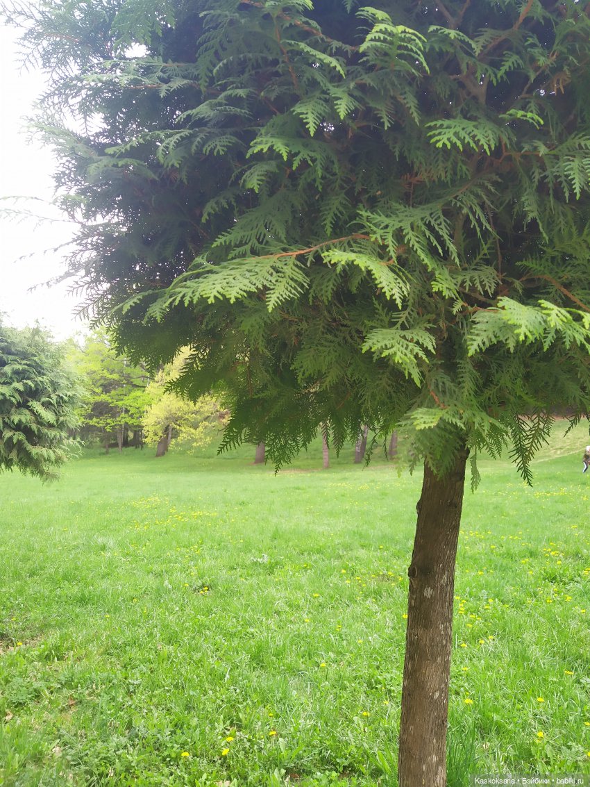 Кисловодские зарисовки. Красные камни