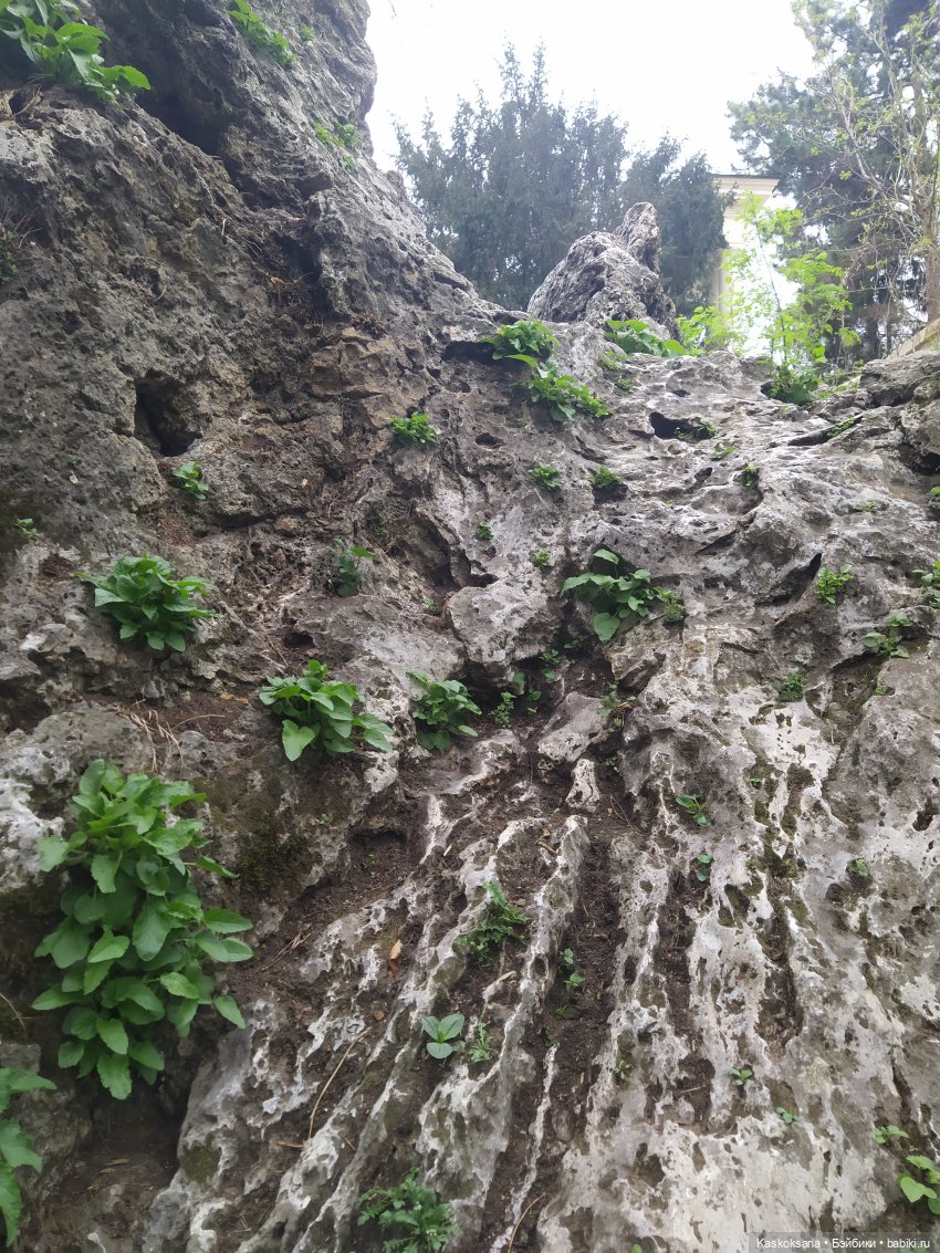 Кисловодские зарисовки. Серые камни, буйные воды