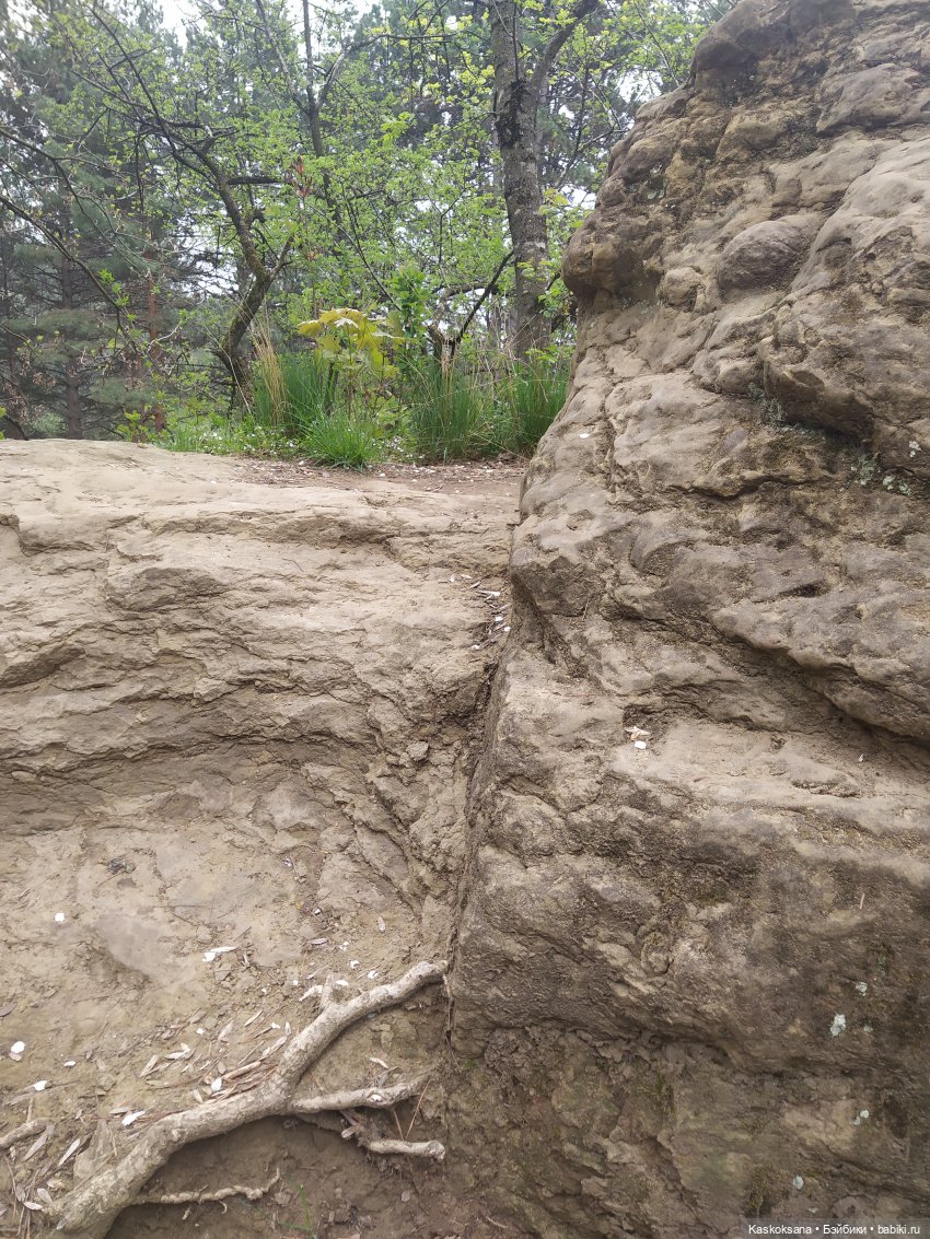 Кисловодские зарисовки. Серые камни, буйные воды (фото 2)