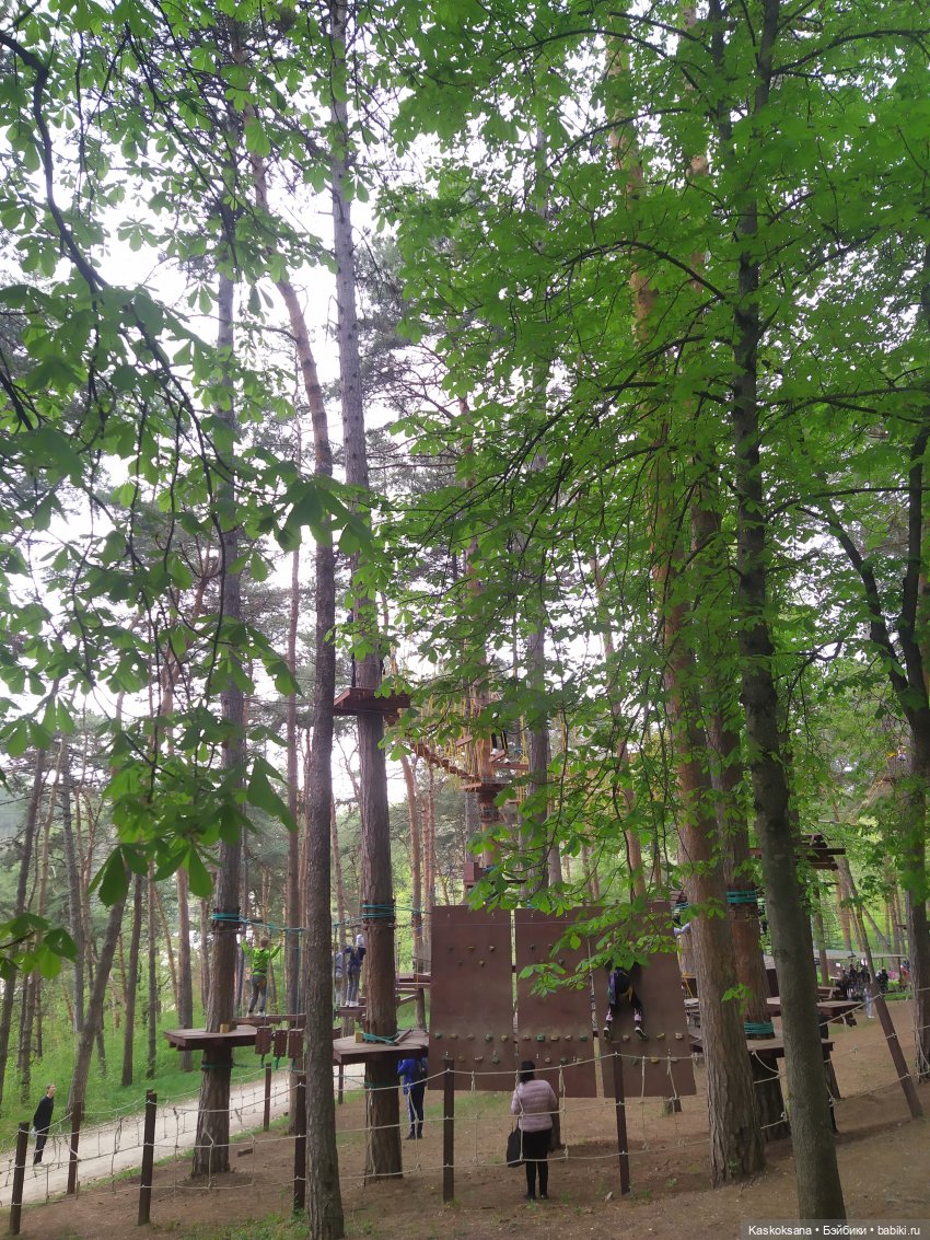 Кисловодские зарисовки. Три стихии