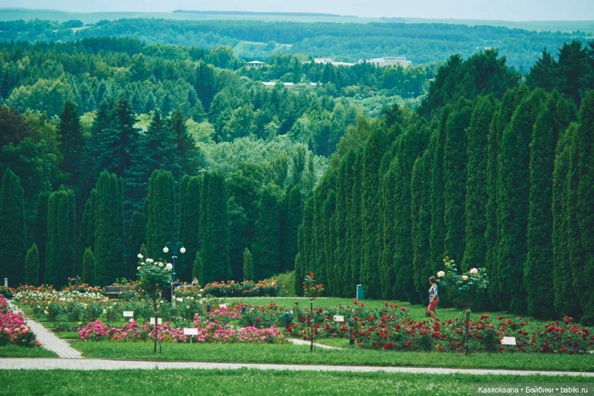 Кисловодские зарисовки. Три стихии