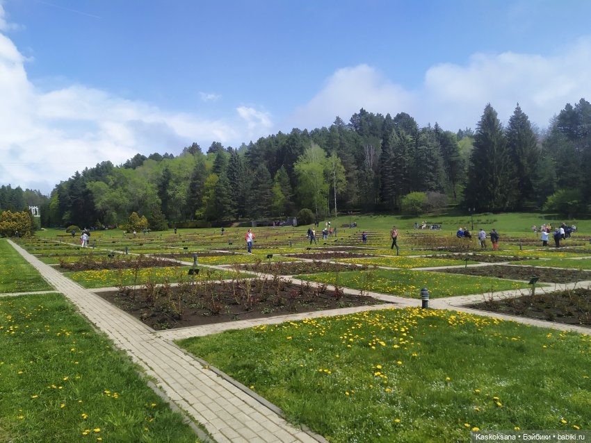 Кисловодские зарисовки. Три стихии