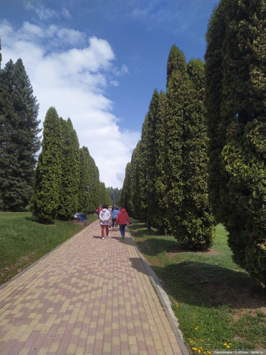 Кисловодские зарисовки. Три стихии