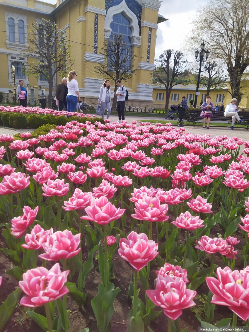 Кисловодские зарисовки. Нарзаны, архитектура, цветы