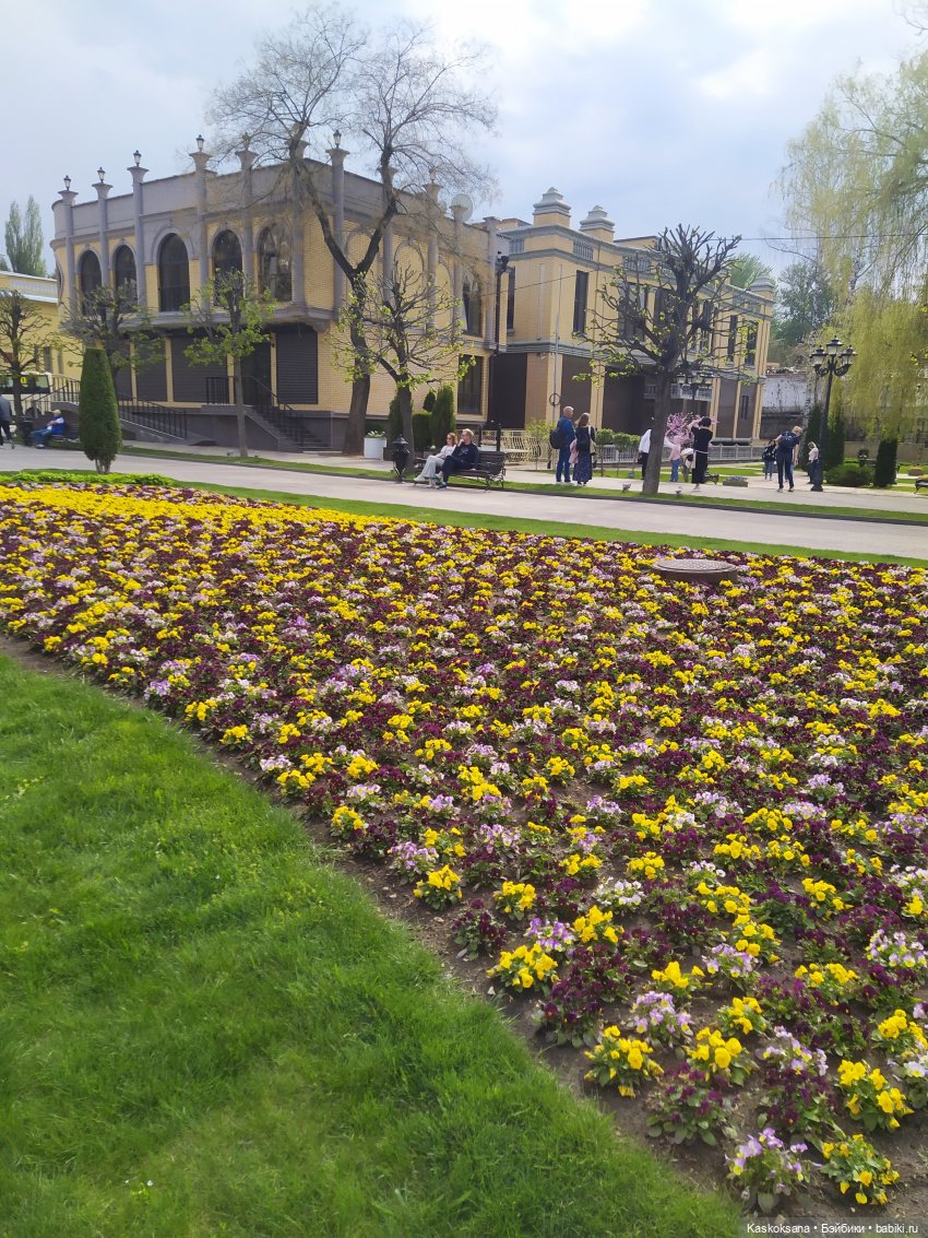 Кисловодские зарисовки. Нарзаны, архитектура, цветы