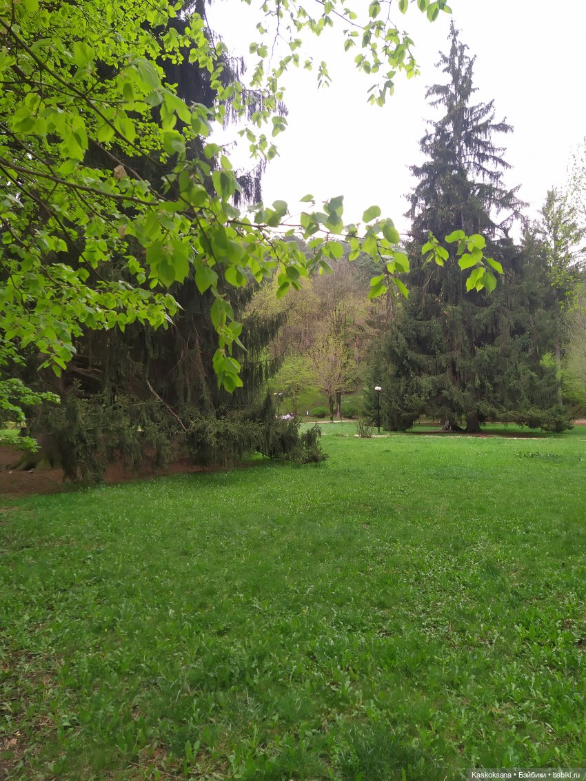 Кисловодские зарисовки. Нарзаны, архитектура, цветы