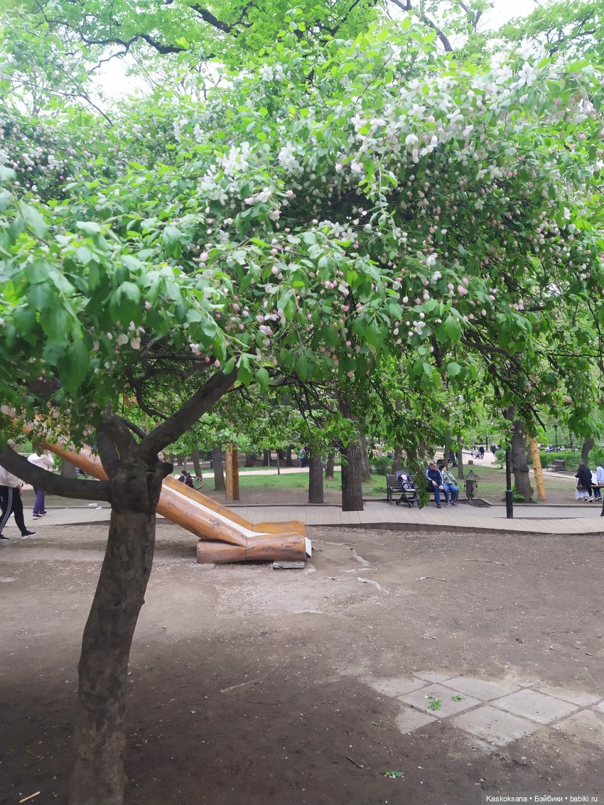 Кисловодские зарисовки. Нарзаны, архитектура, цветы