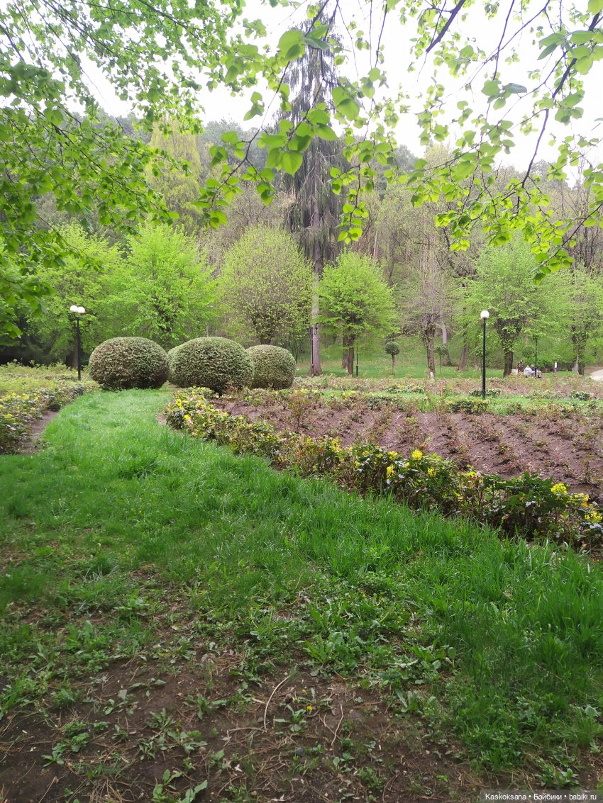 Кисловодские зарисовки. Нарзаны, архитектура, цветы