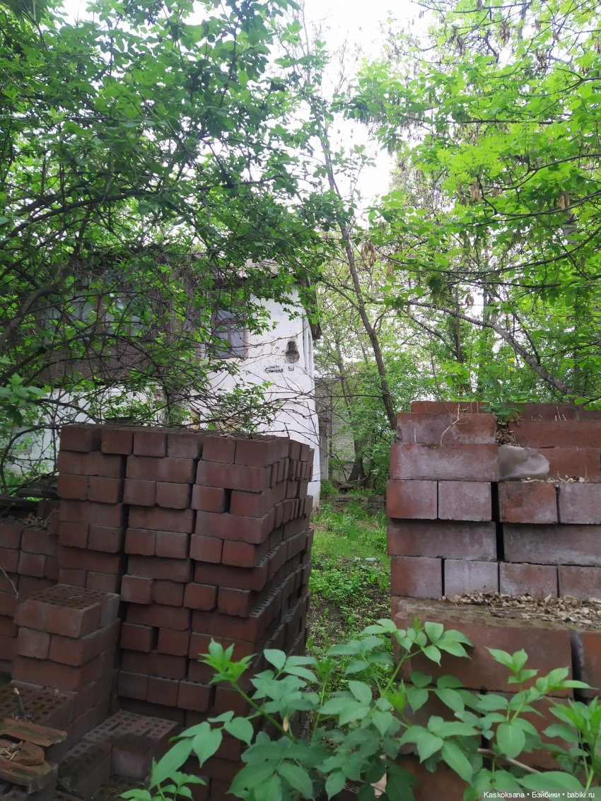 Кисловодские зарисовки. Нарзаны, архитектура, цветы