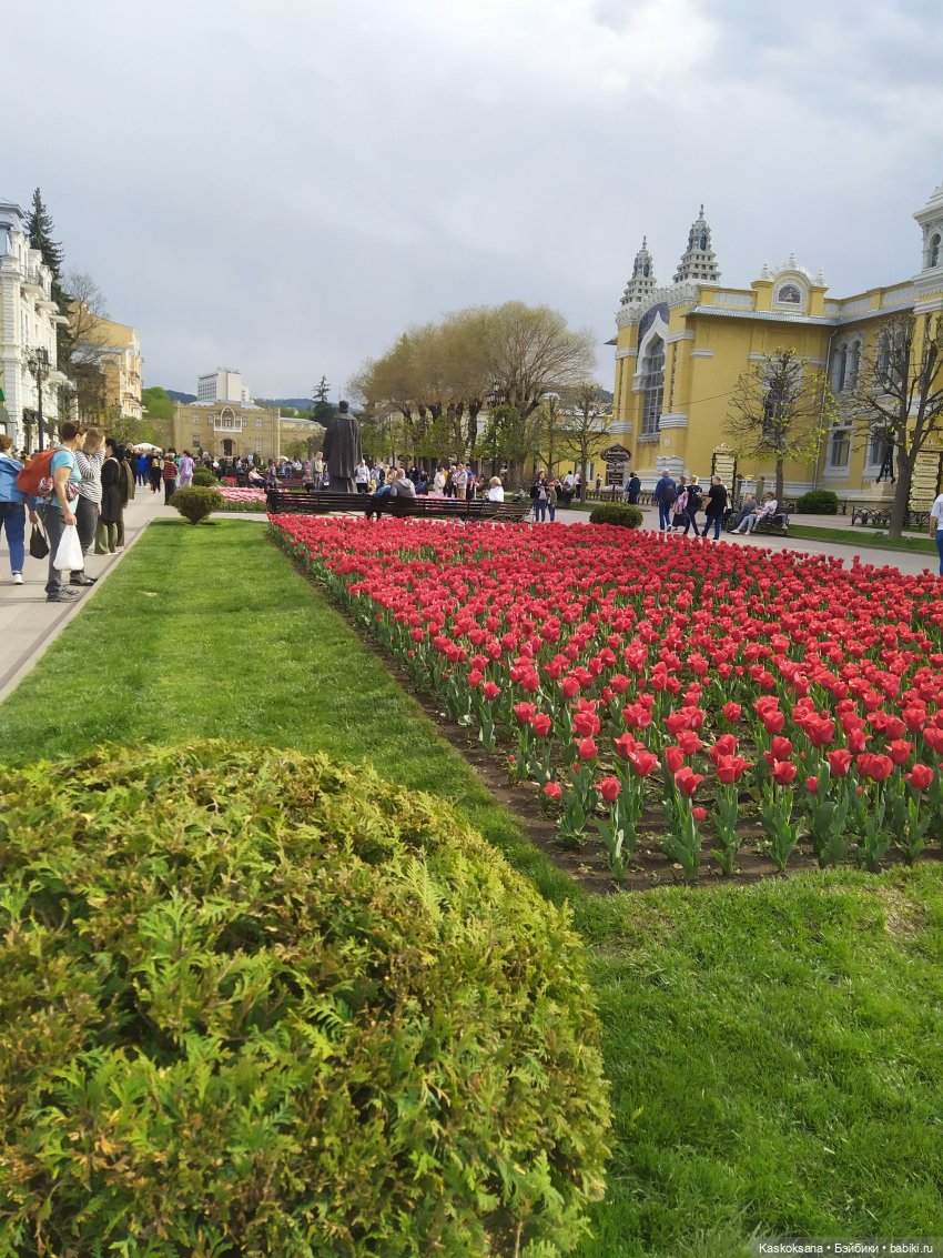 Кисловодские зарисовки. Нарзаны, архитектура, цветы