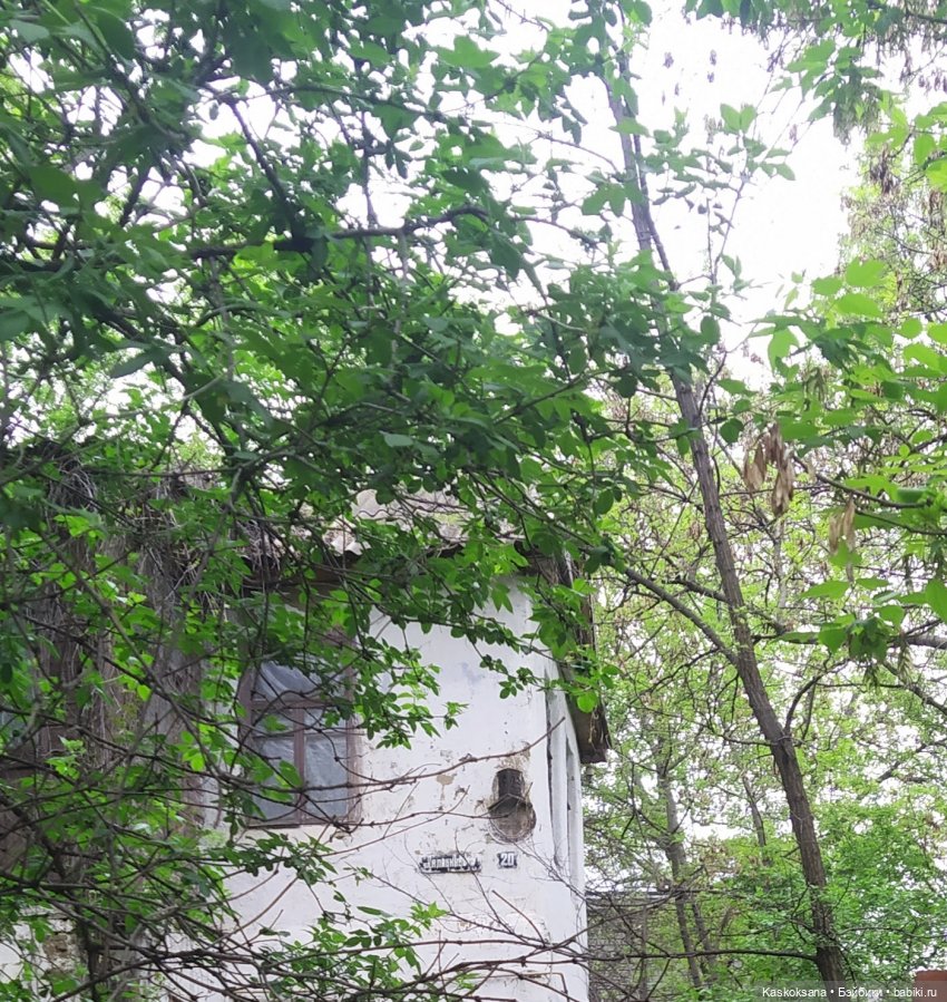 Кисловодские зарисовки. Нарзаны, архитектура, цветы