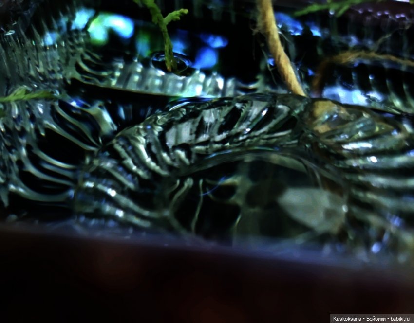 Театральный августфест. Варвара-краса длинная коса 1 часть