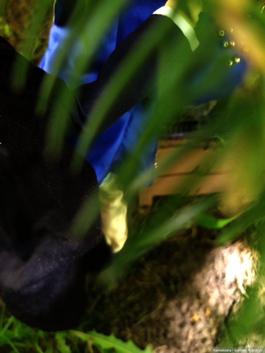 Августфест. Варвара- краса длинная коса 4 часть