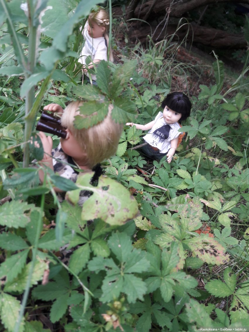 Гори, костер, не догорай — Куклы Kathe Kruse (Кате/Кэте Крузе): фото