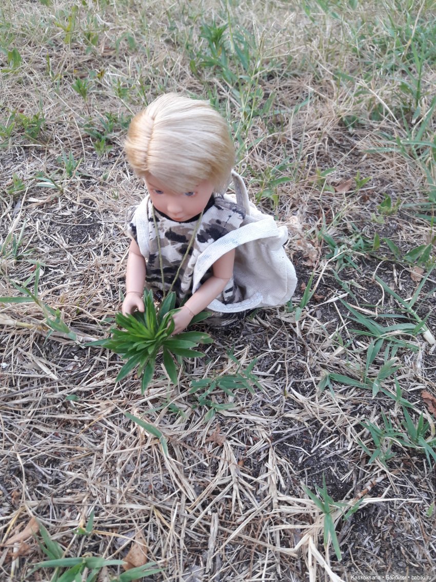 Гори, костер, не догорай — Куклы Kathe Kruse (Кате/Кэте Крузе): фото (фото 10)