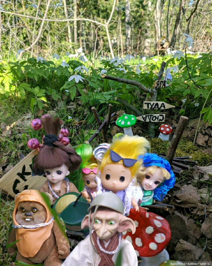 Звездные войны. Силы судьбы на дне рождения Мирки