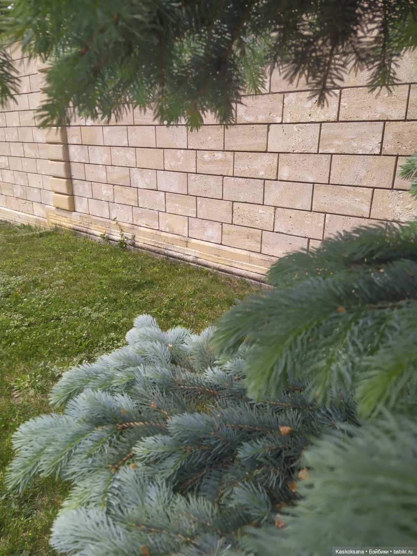 Праздник рождения цветов у эльфов. Анонс