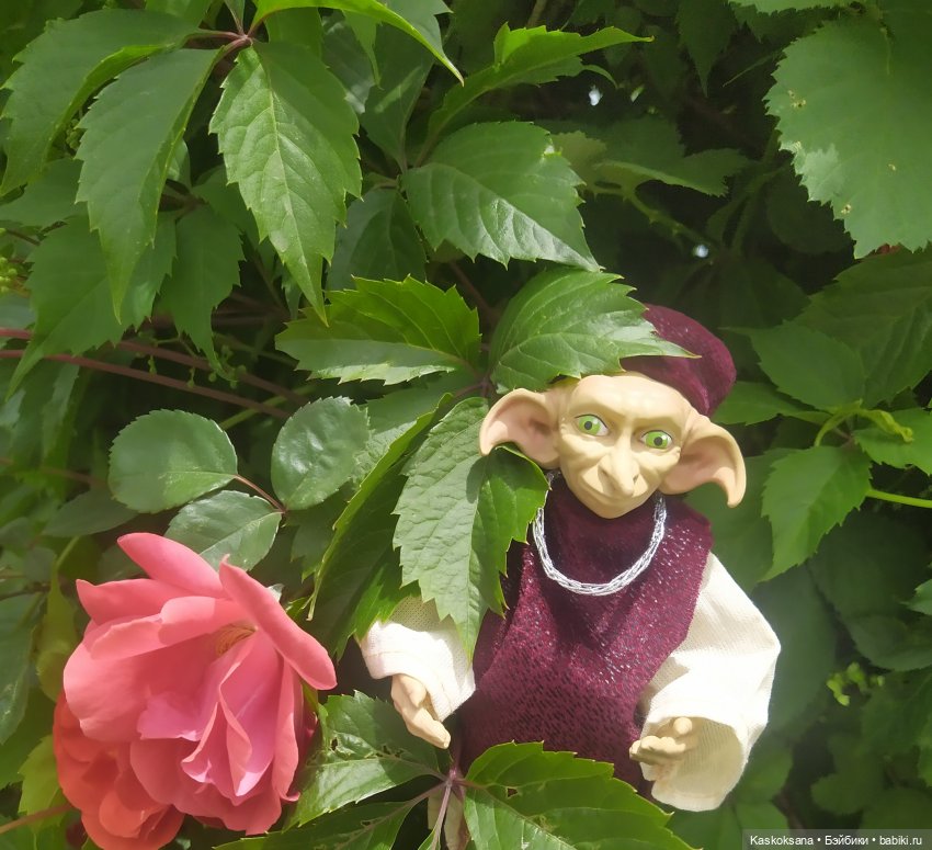 Праздник рождения цветов Ност-на-Лотион