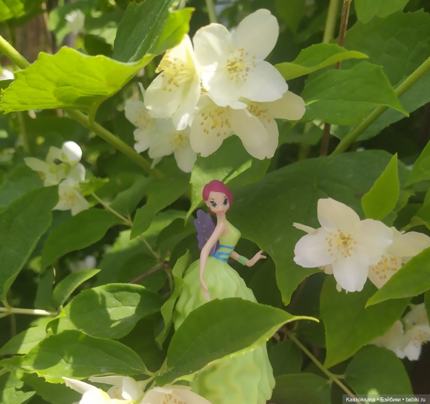 Праздник рождения цветов Ност-на-Лотион