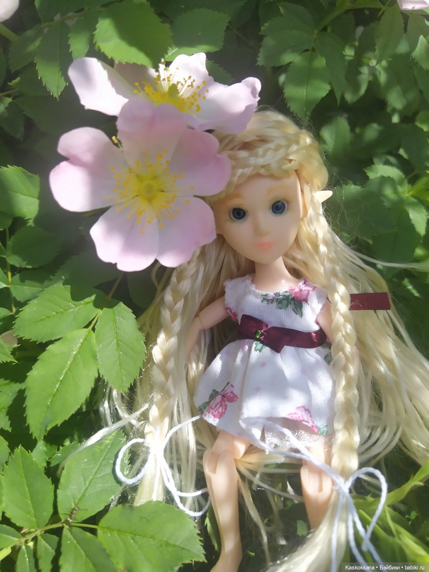 Праздник рождения цветов Ност-на-Лотион