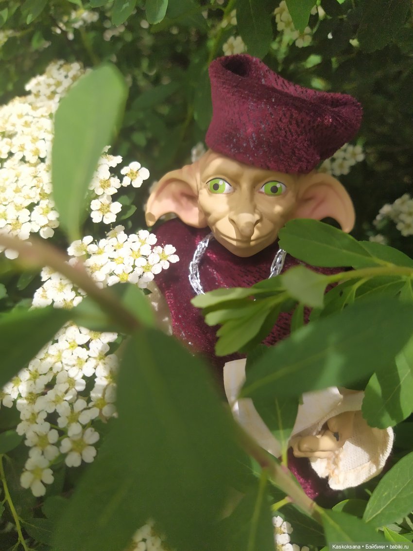 Праздник рождения цветов Ност-на-Лотион