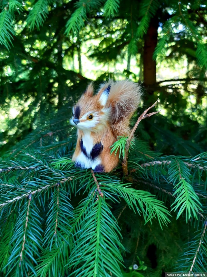 Августфест. Варвара- краса длинная коса 4 часть