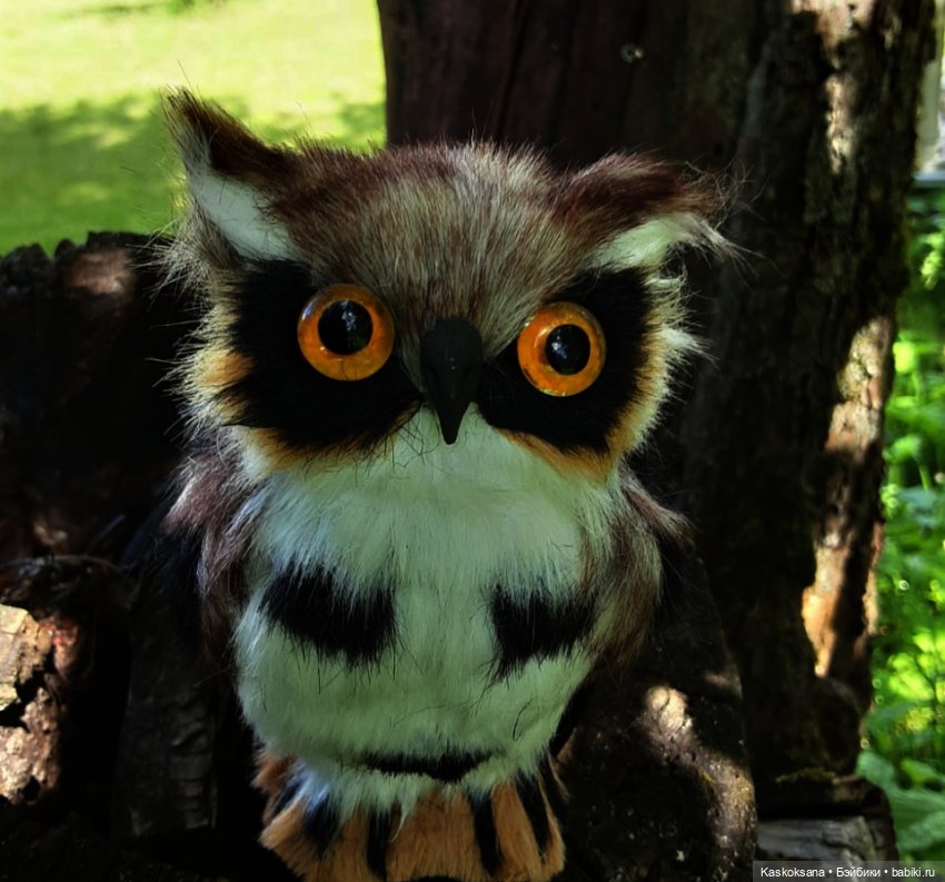 Августфест. Варвара- краса длинная коса 4 часть