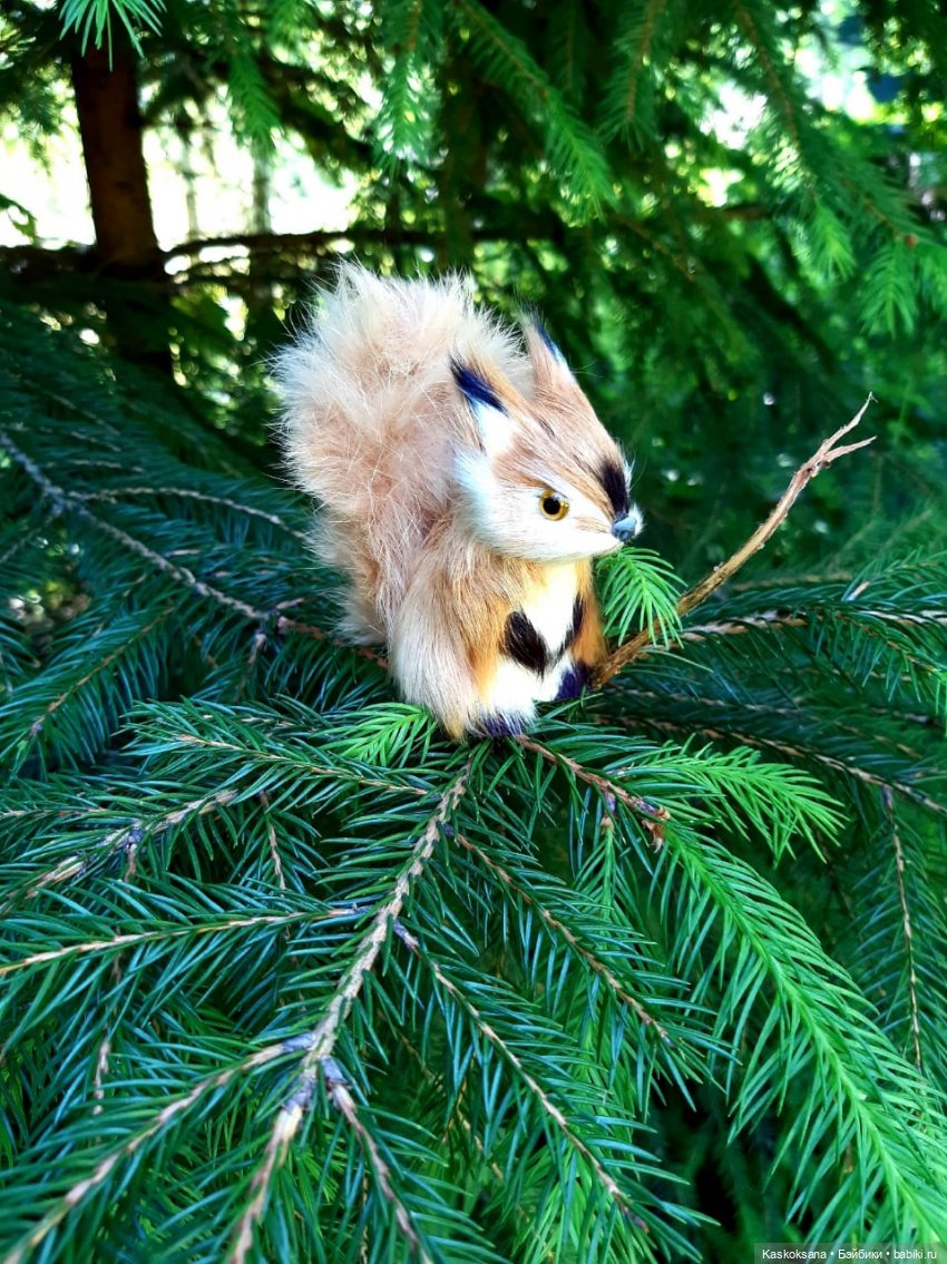 Августфест. Варвара- краса длинная коса 4 часть