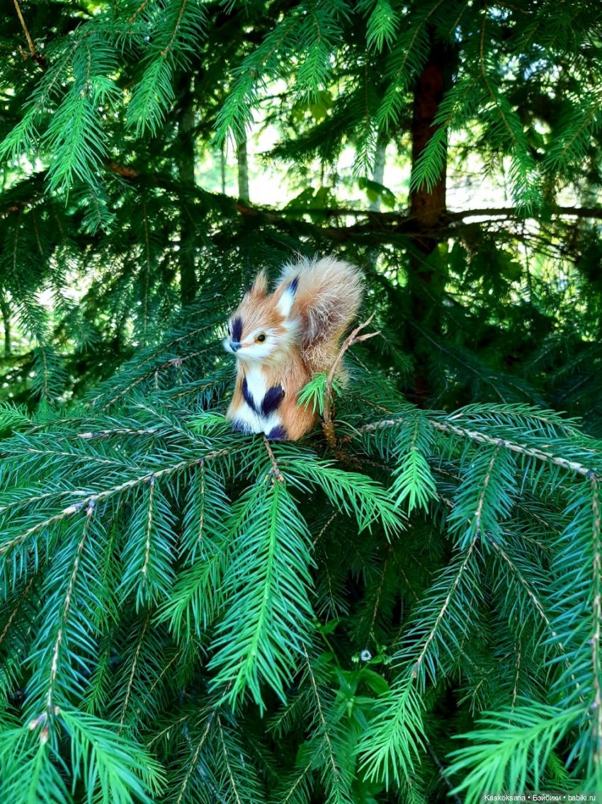 Августфест. Варвара- краса длинная коса 4 часть