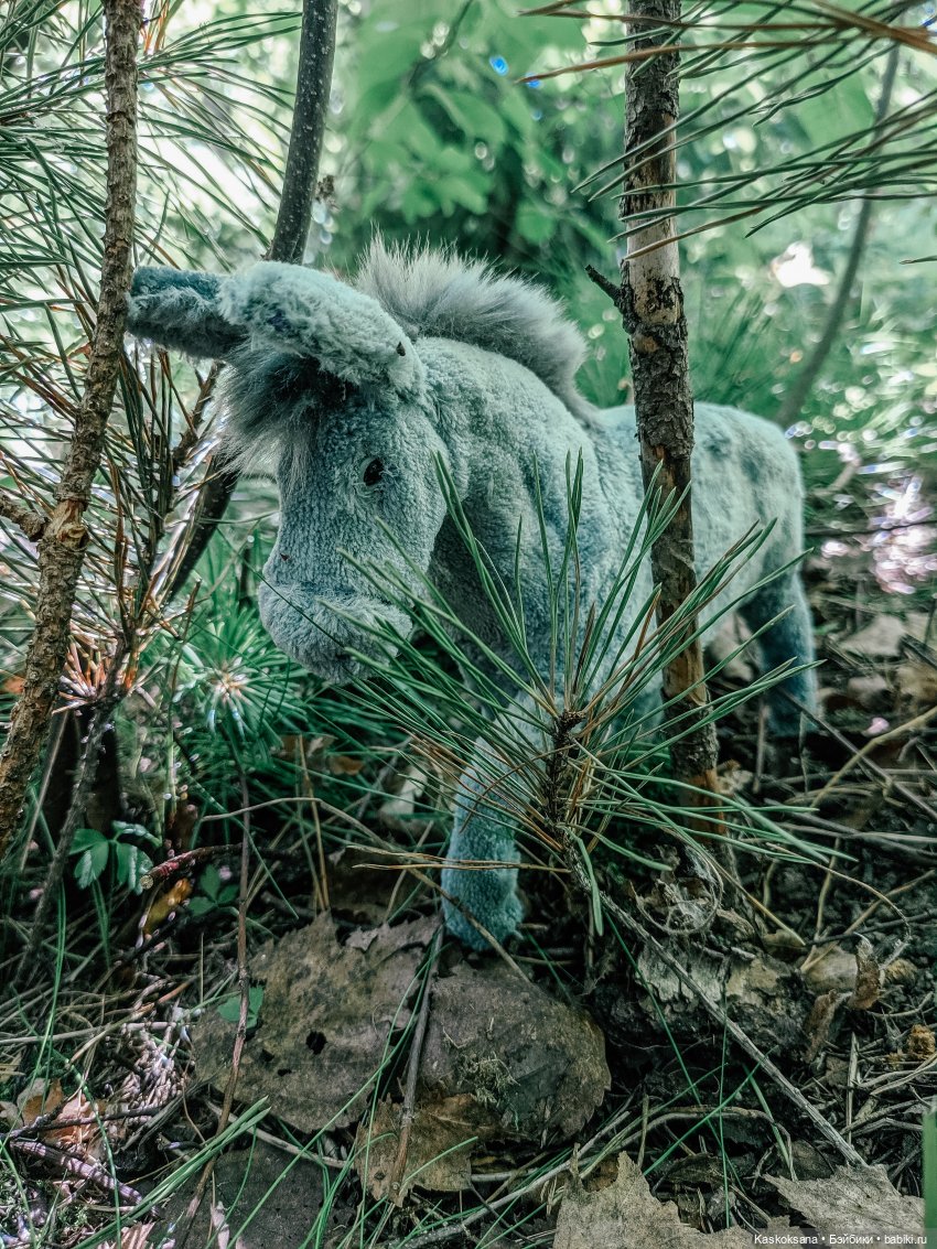 Августфест. Варвара- краса длинная коса 4 часть