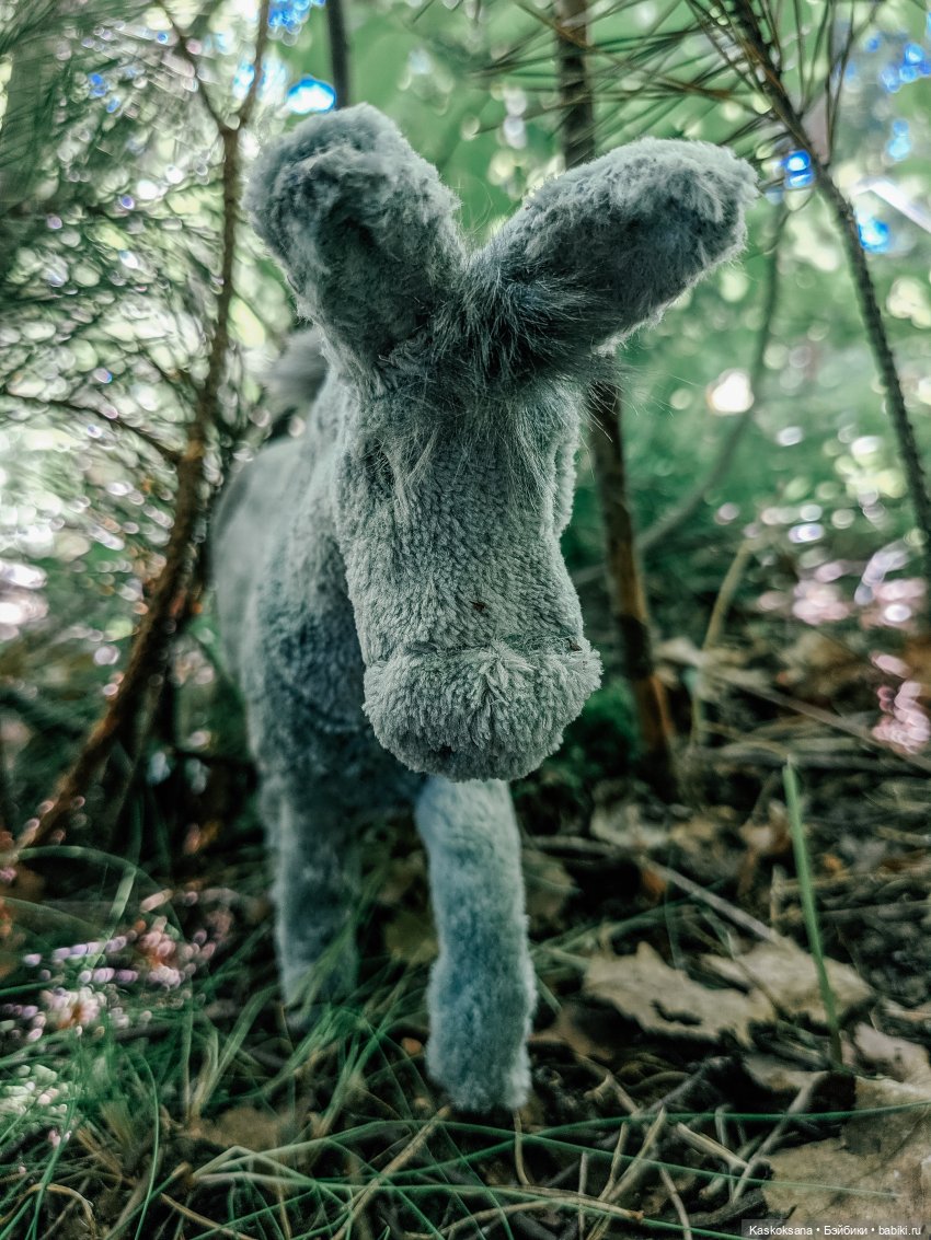 Августфест. Варвара- краса длинная коса 4 часть