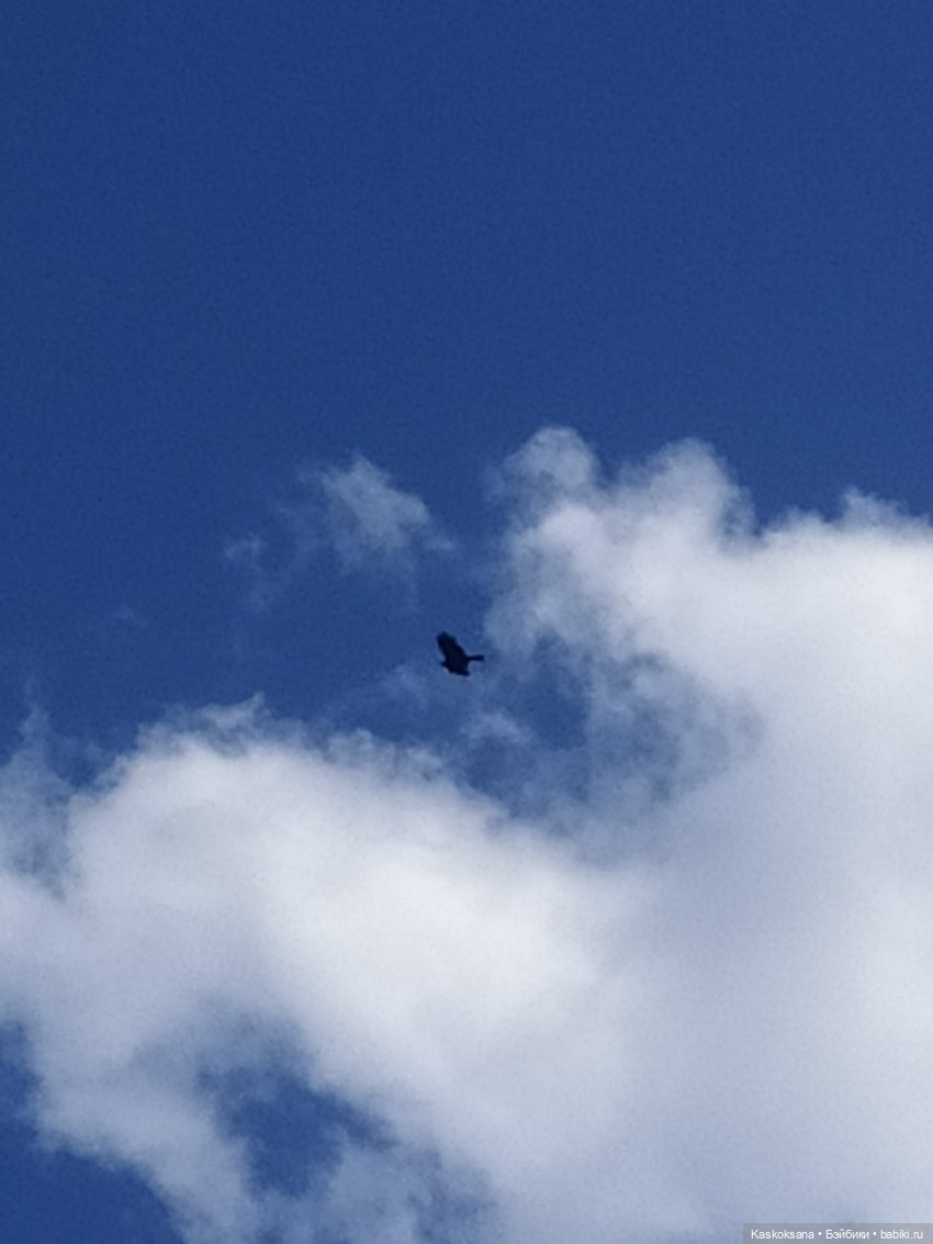 На рыбалку, становись — Кукольные флешмобы: Эстафеты (фото 5)