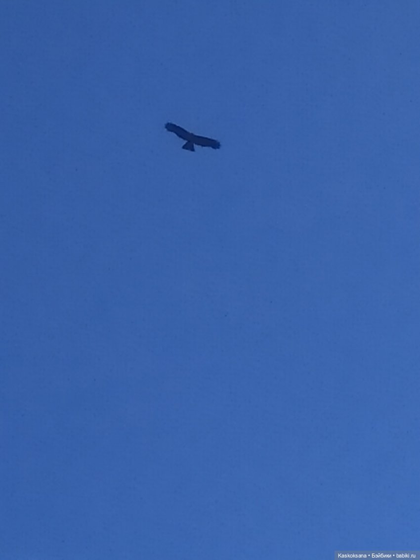 На рыбалку, становись — Кукольные флешмобы: Эстафеты (фото 6)