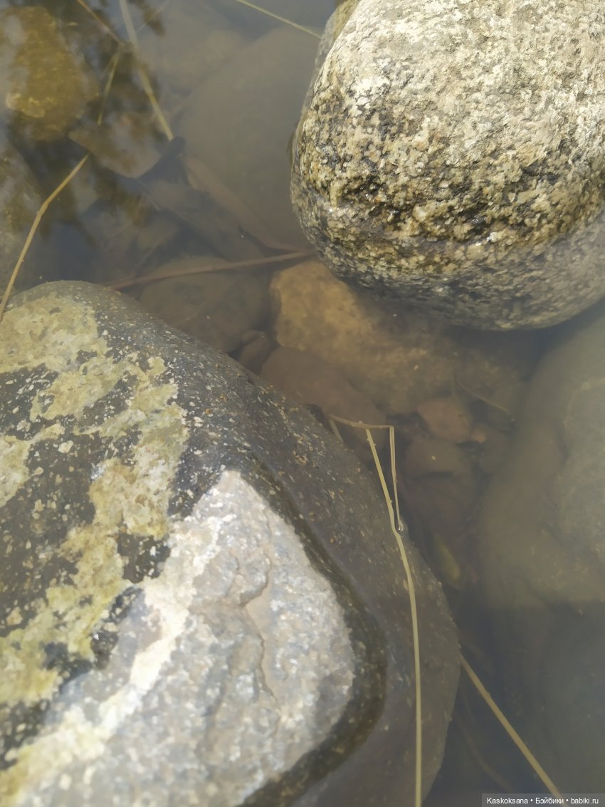 На рыбалку, становись — Кукольные флешмобы: Эстафеты