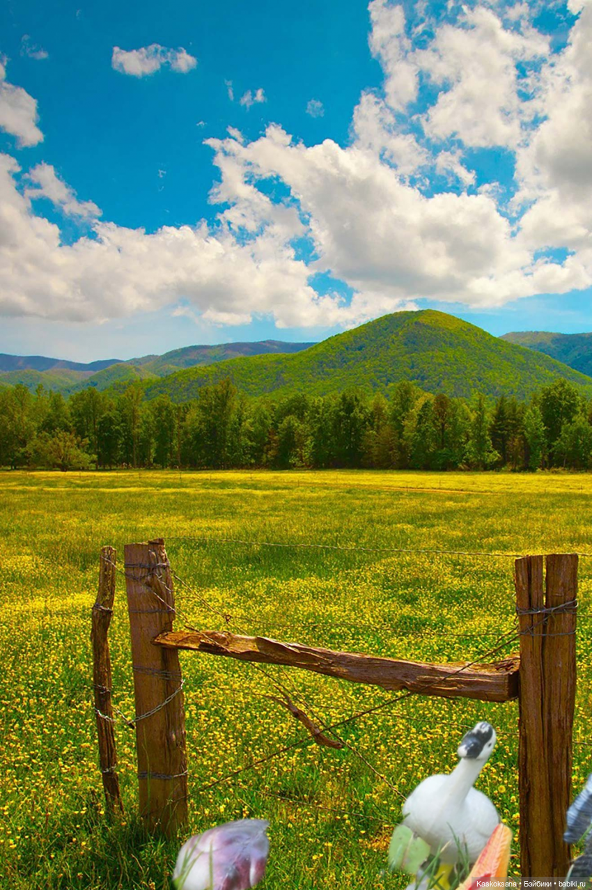 Театральный августфест. Варвара-краса длинная коса 1 часть