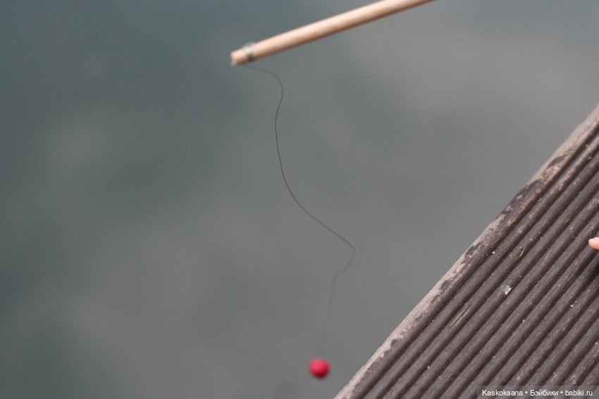 Августфест. Варвара-краса длинная коса 2 часть