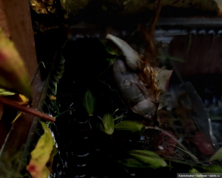 Театральный августфест. Варвара-краса длинная коса 1 часть