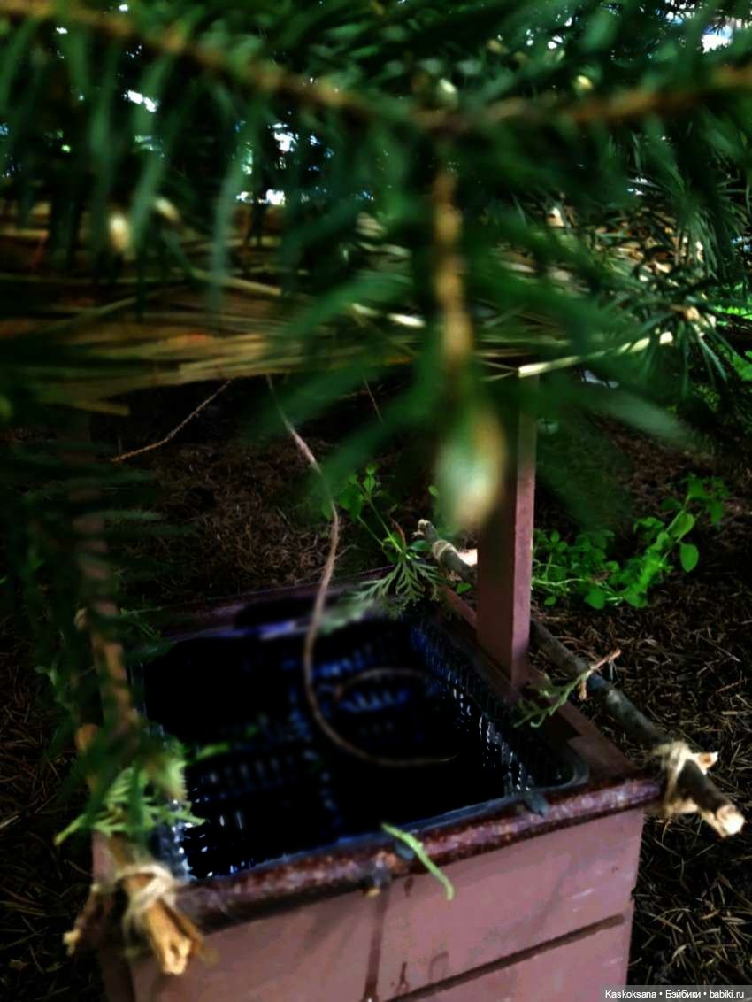 Театральный августфест. Варвара-краса длинная коса 1 часть