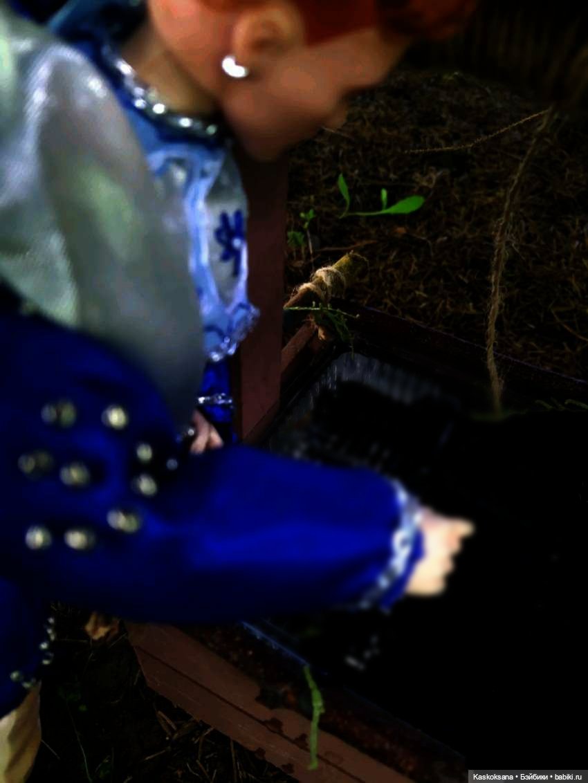 Августфест. Варвара- краса длинная коса 4 часть