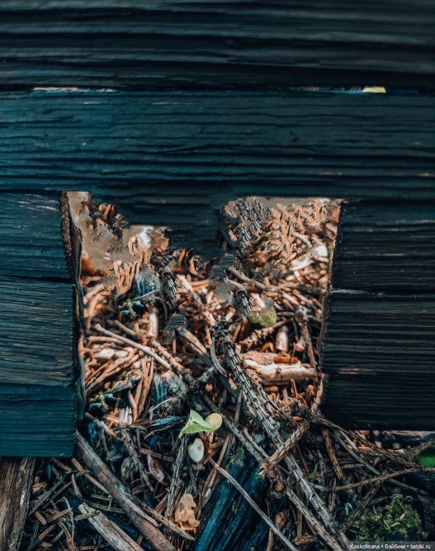 Августфест. Варвара- краса длинная коса 4 часть