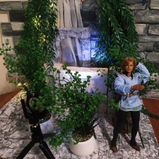 Августфест. Ромео и Джульетта:  закулисье декораций