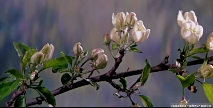 Варвара - краса. Коллективное закулисье: как оживают сказки (фото 4)